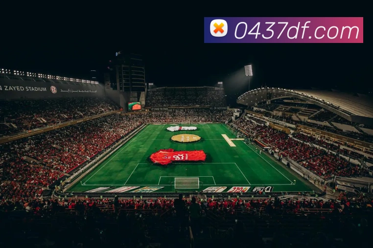 巅峰国际发展历程